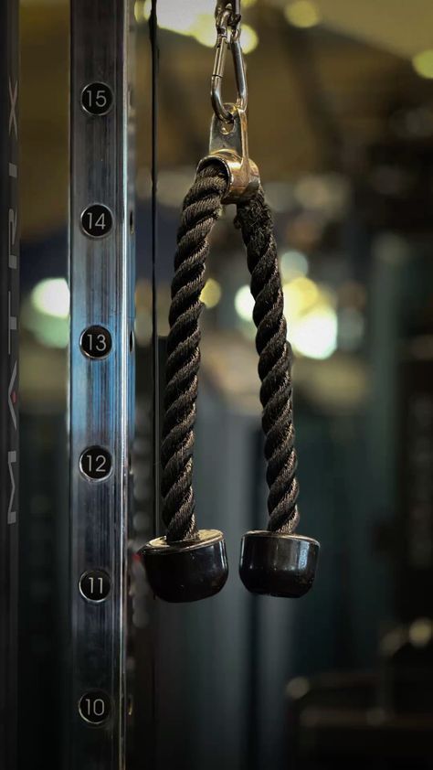 Iron Gym